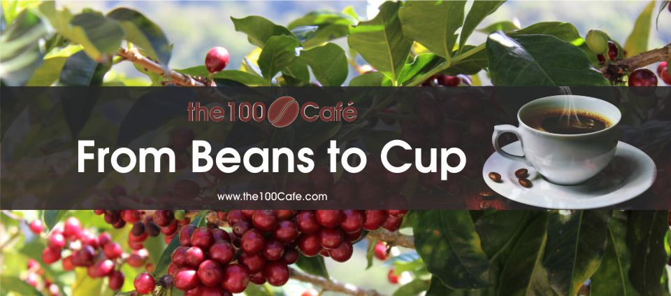 Beans to Cup