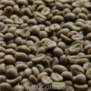 Cà phê nhân Arabica chế biến khô sàn 18