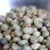 Vietnam Culi Robusta Green Coffee Beans