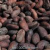 Hạt Cacao rang - Hạt Ca cao nguyên liệu làm Sôcôla chuẩn xuất khẩu