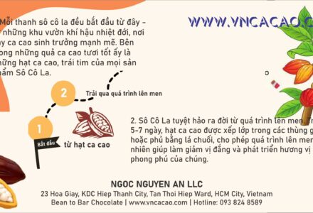 Cách làm sô cô la từ hạt ca cao