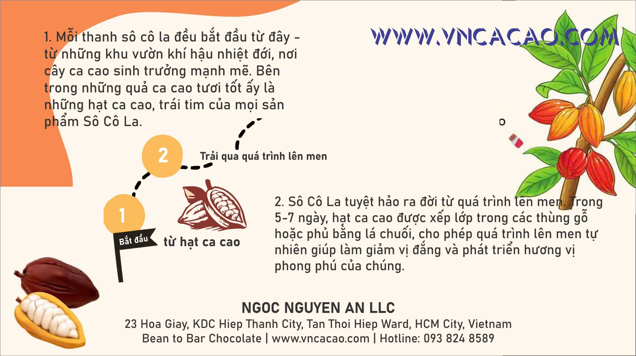 Cách làm sô cô la từ hạt ca cao